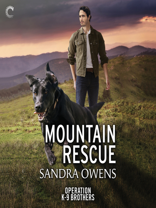 Title details for Mountain Rescue by Sandra Owens - Available